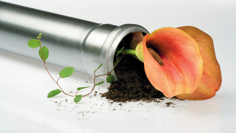 Plant growing out of a pipe